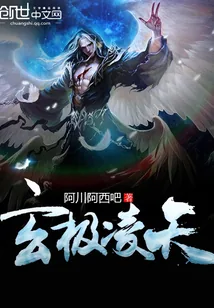 《玄极凌天》小说封面