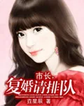 《市长复婚请排队》小说封面