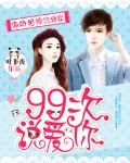 《月西女传：无字悲》小说封面