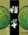 《赌翠》小说封面