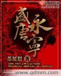 《盛唐永宁》小说封面