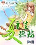《重生夏琉璃》小说封面