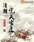 《清朝完美家庭》小说封面