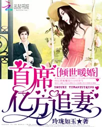 《倾世暖婚：首席亿万追妻》小说封面