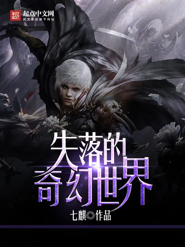 《失落的奇幻世界》小说封面