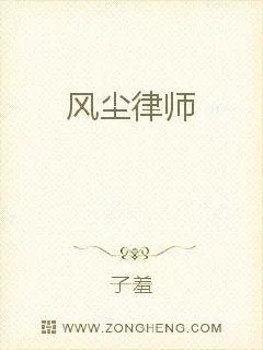 《风尘律师》小说封面