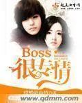 《BOSS很专情》小说封面