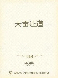 《天雷证道》小说封面