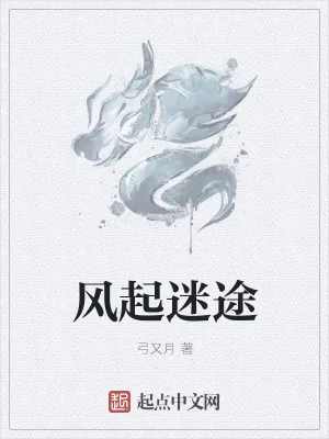 《风起迷途》小说封面