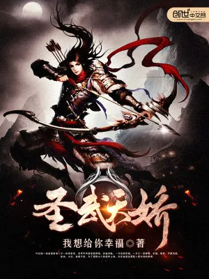 《圣武天骄》小说封面