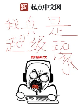 《我真是超级玩家》小说封面