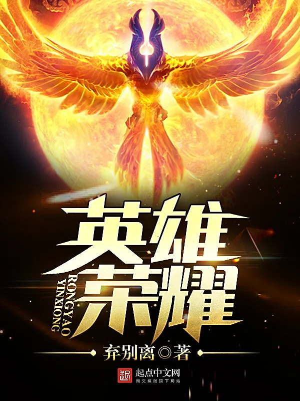 《英雄荣耀》小说封面