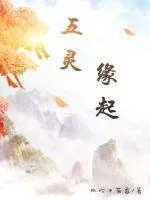 《五灵:缘起》小说封面