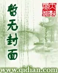 《潜龙武帅》小说封面