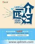 《一介匹妇》小说封面
