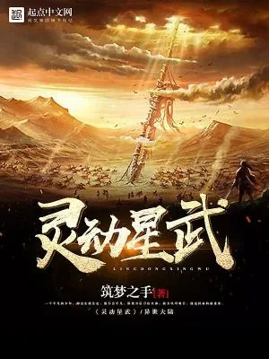 《灵动星武》小说封面