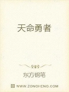 《天命勇者》小说封面