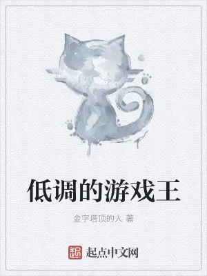 《低调的游戏王》小说封面