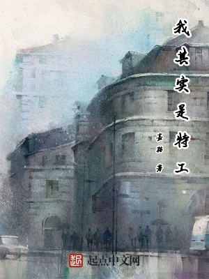 《火影之大召唤师》小说封面