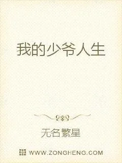 《我的少爷人生》小说封面