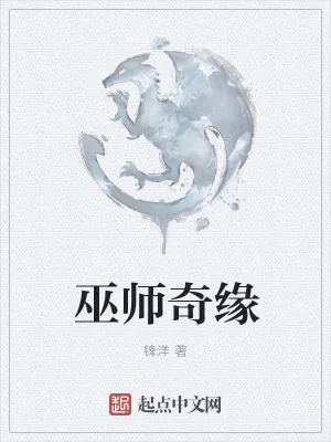 《巫师奇缘》小说封面