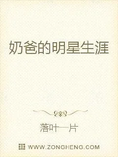 《奶爸的明星生涯》小说封面