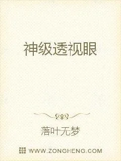 《神级透视眼》小说封面