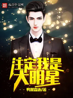 《注定我是大明星》小说封面