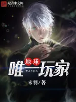 《地球唯一玩家》小说封面