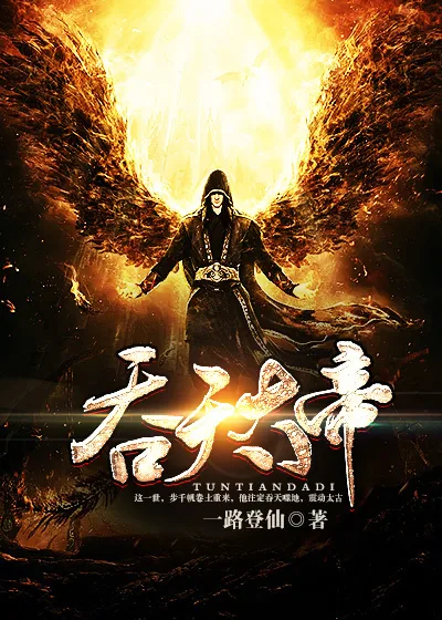 《吞天大帝》小说封面