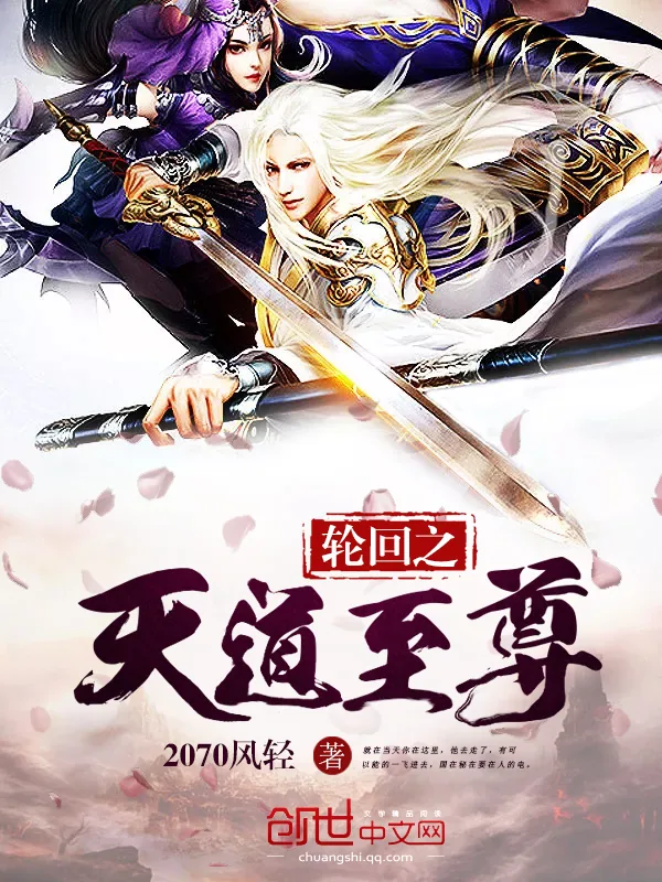 《轮回之天道至尊》小说封面