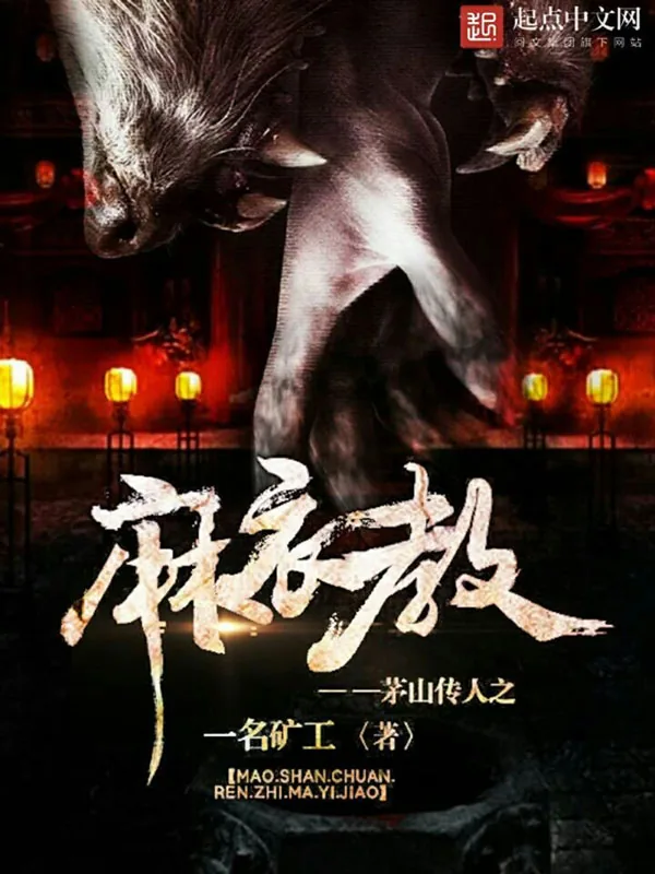 《茅山传人之麻衣教》小说封面