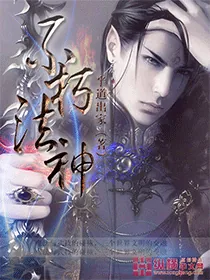 《不朽法神》小说封面