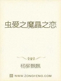 《虫爱之魔晶之恋》小说封面