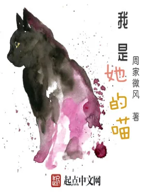 《我是她的喵》小说封面