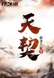 《天契》小说封面