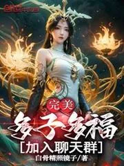 《完美:多子多福,添加聊天群!》小说封面