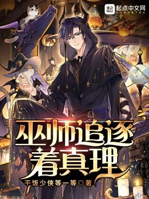 《巫师追逐着真理》小说封面