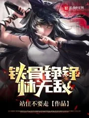 《铁骨铮铮林无敌》小说封面