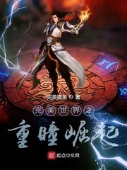《完美世界之重瞳崛起》小说封面