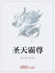 《圣天霸尊》小说封面