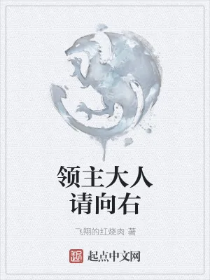 《领主大人请向右》小说封面