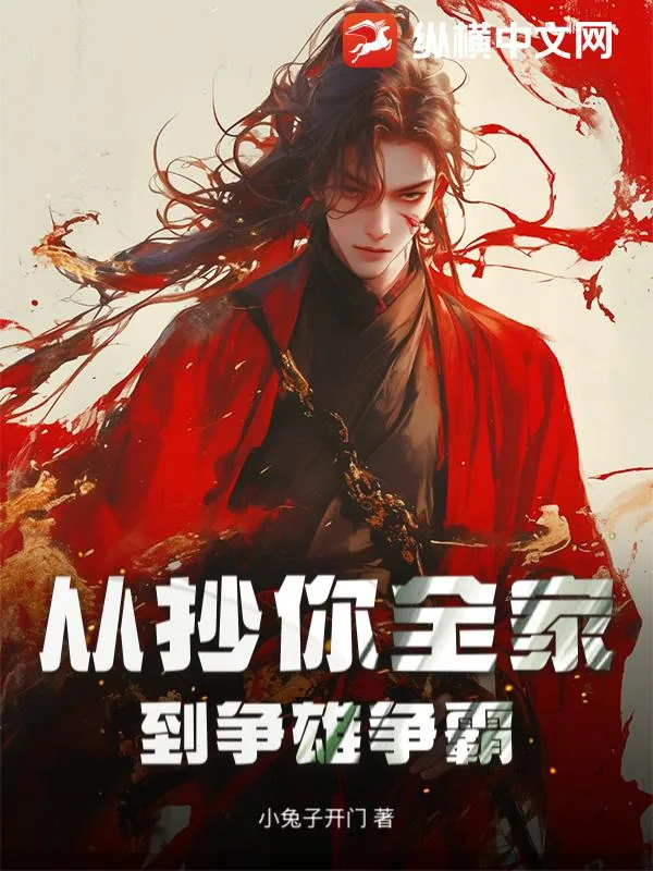 《从抄你全家到争雄争霸》小说封面