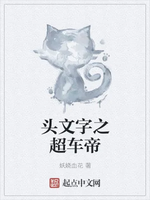 《头文字之超车帝》小说封面
