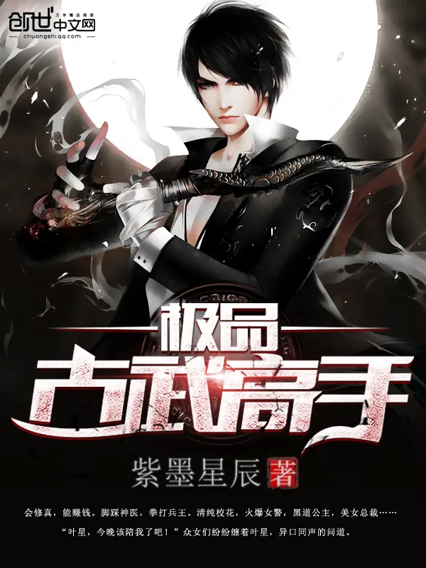 《极品古武高手》小说封面