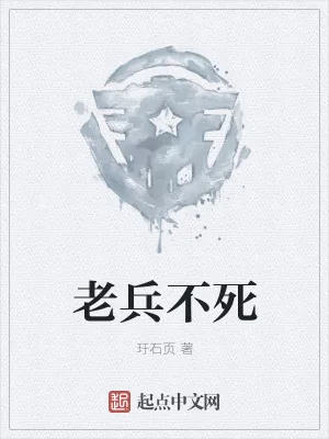 《老兵不死》小说封面