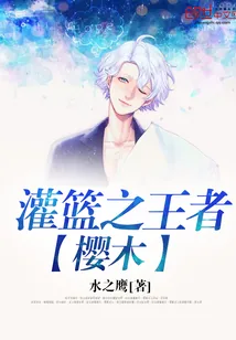 《灌篮之王者樱木》小说封面
