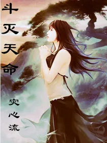 《斗灭天命》小说封面