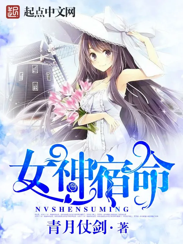 《女神宿命》小说封面
