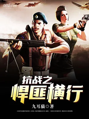 《抗战之悍匪横行》小说封面